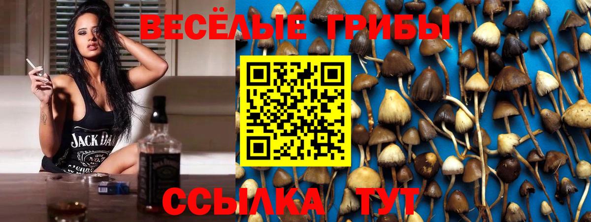 Мытищи  закладки  Вход с VPN  Галлюциногенные грибы мицелий 